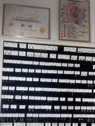 -AI艾耳·专业手工耳洞·穿孔美学馆