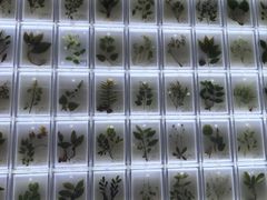 -广东中医药博物馆