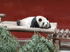 -杭州野生动物世界