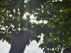 -澳门圣地牙哥古堡酒店