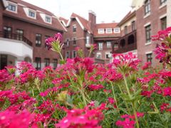 -天津津利华酒店