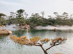 -罗红摄影艺术馆