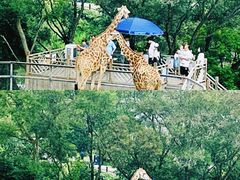 -泉州海丝野生动物世界