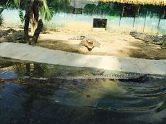 -泉州海丝野生动物世界