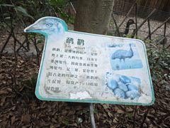 -杭州动物园