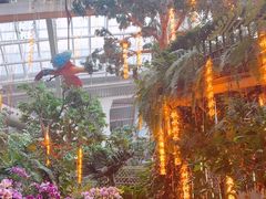-正佳雨林生态植物园