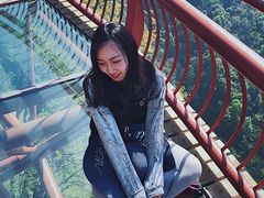 -少华山国家森林公园
