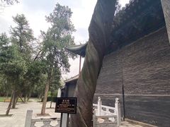 -关林