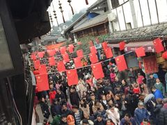 -胖娃古镇鸡杂(磁器口总店)