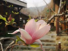 -北京水岸山吧度假村(雁栖镇店)