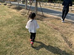 -田园东方蜜桃村的田野营地