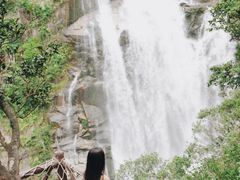 -海南热带雨林国家公园吊罗山景区