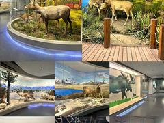 -北京麋鹿生态实验中心