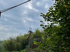 -宁波浙东大竹海景区