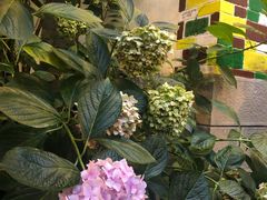 -又见炊烟．纳西小院云南菜