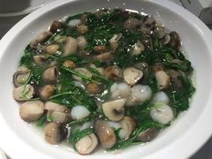 荠菜草菇烩虾仁-和记小菜(东方店)