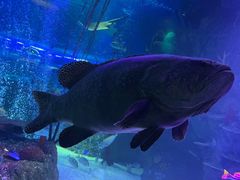 -沈阳海洋探索中心