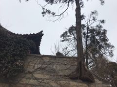 -青岛崂山太清宫