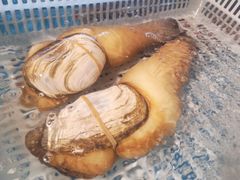 大象蚌-海蓝海鲜馆(五四北店)