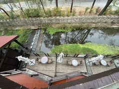 -Local泰莲庭(虹鳟鱼店)