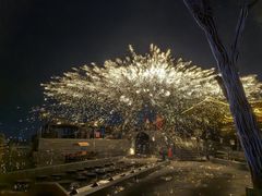 -鸿恩陶然大观园