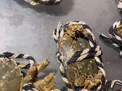 -新希望诺富特酒店-青岛湾中餐厅