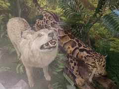 -下渚湖国家湿地公园科普馆