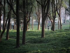 -杭州植物园