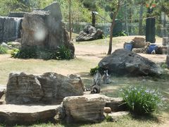 -秦皇岛野生动物园