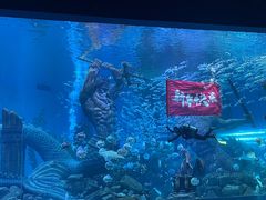 -哈尔滨波塞冬海底世界