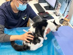 -美迦爱-牙专科·兔科·骨科诊疗中心(北苑店)