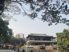 -荔湾湖公园