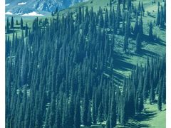 -天山神秘大峡谷