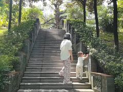 -广州神农草堂中医药博物馆