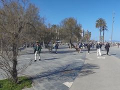 -小巴塞罗那海滩