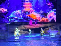 -海合安武汉极地海洋公园