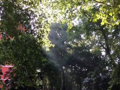 -南京特殊教育师范学院(燕子矶校区)