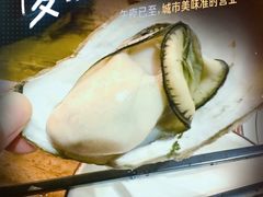 -土蚝·高压锅生蚝(百姓美食街店)