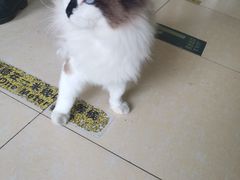 -乐宠动物医院