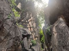 -玉石林风景区