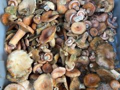 -草墩罗非鱼庄•野生菌•腊排骨(七星街上段店)