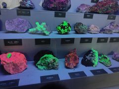 -湖南省地质博物馆