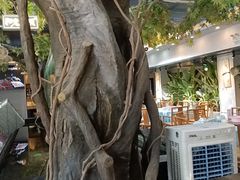 -阳光院坝小龙虾(红牌楼店)