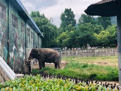 -西安秦岭野生动物园