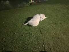 -台州博物馆