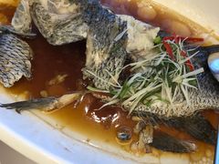 -骏莱海鲜鱼港(五角场店)