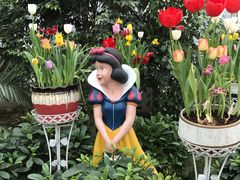 -石家庄市植物园