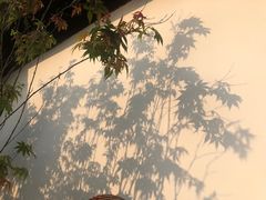 -濮园 · 四合院餐厅