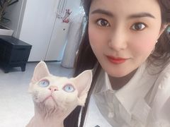-琪喵猫屋·撸猫猫咖·猫舍