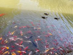 -泰安地下龙宫景区